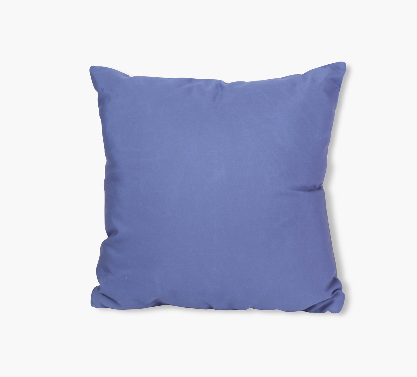 Neptune Decorative Outdoor Throw Pillow