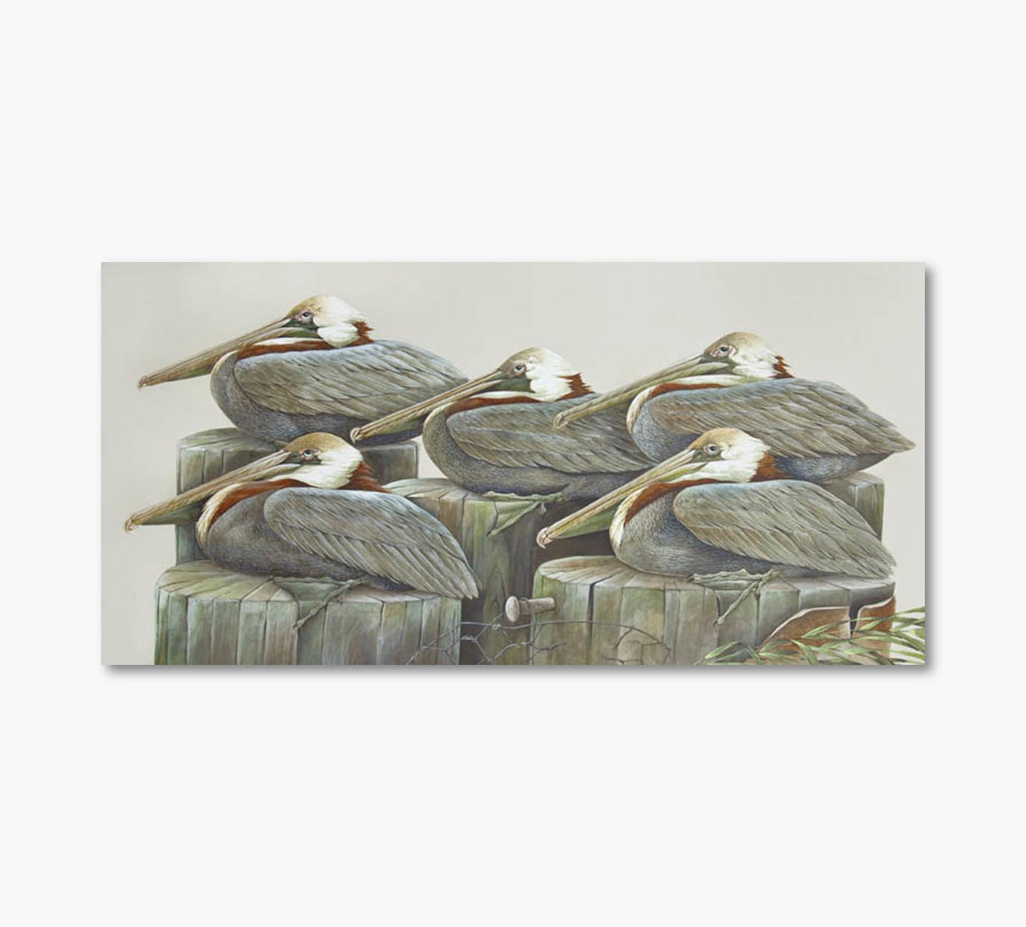 Piling Pals Pelican Artwork 24 x 46