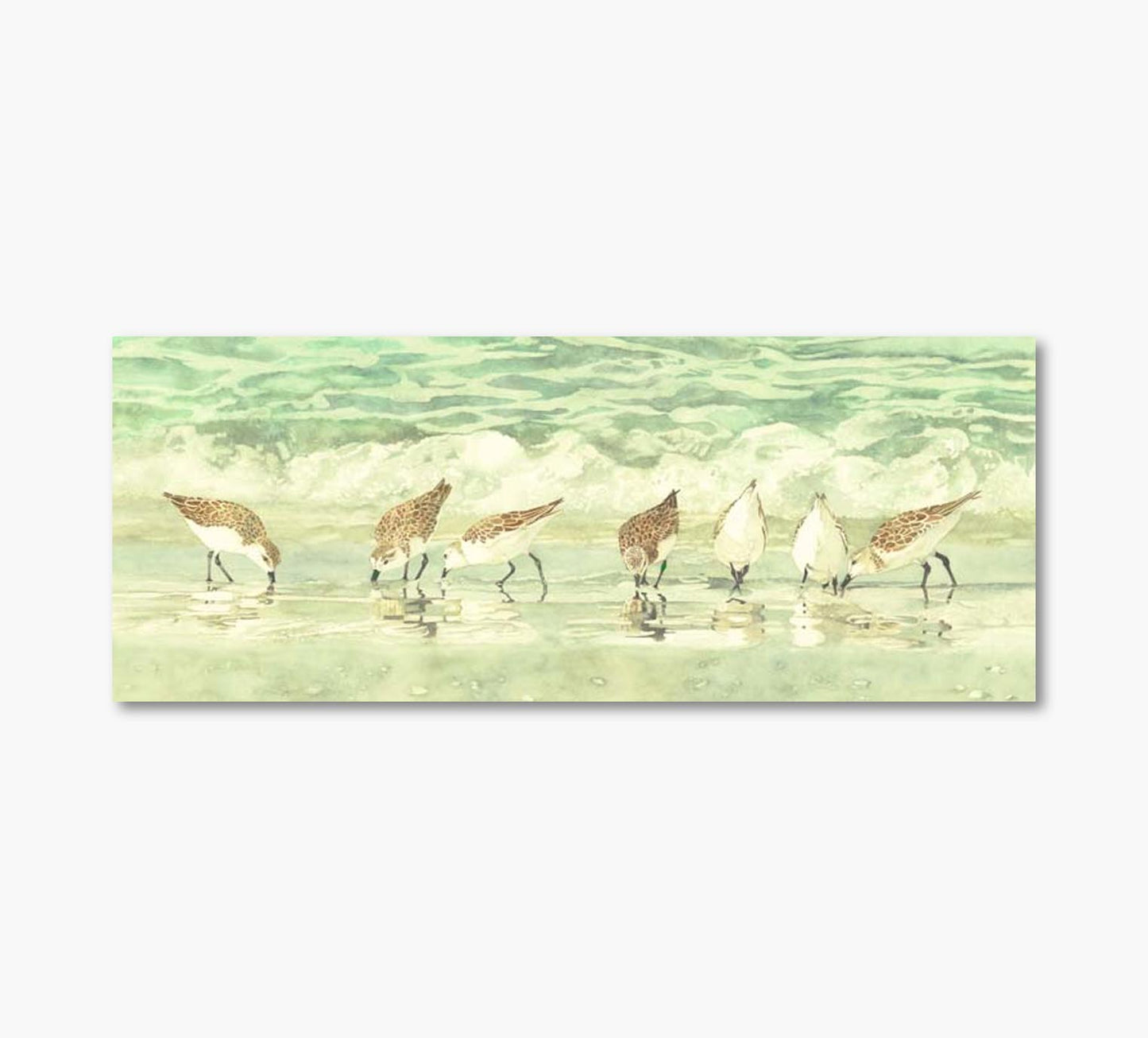 Sandpipers In Beach Artwork 20 x 56