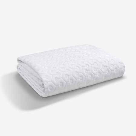 BEDGEAR Dri-Tec Queen Mattress Protector