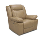 Dallas Saddle Leather Power Glider Recliner with Power Headrest