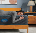 Simmons BeautyRest Dream Sleep Medium Full Mattress
