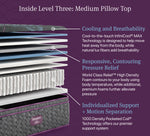 Simmons BeautyRest World Class Level 3 Medium Pillow Top Queen Mattress