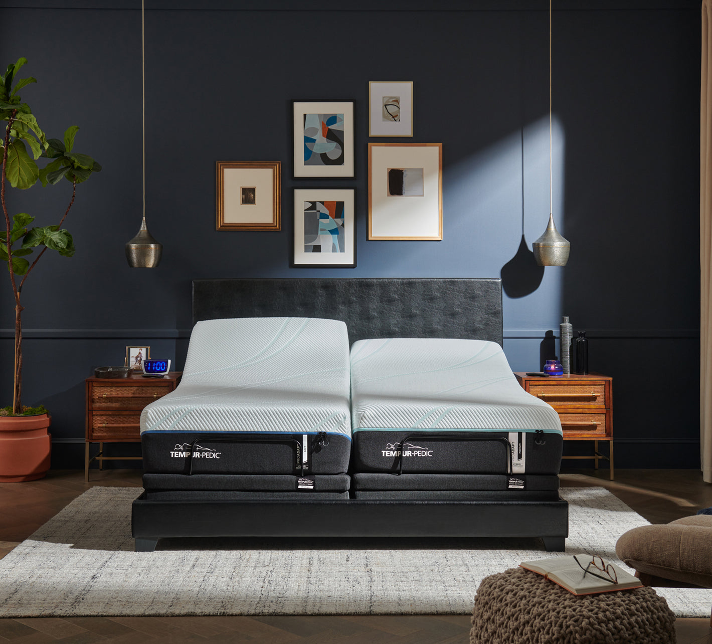 Kane's Furniture