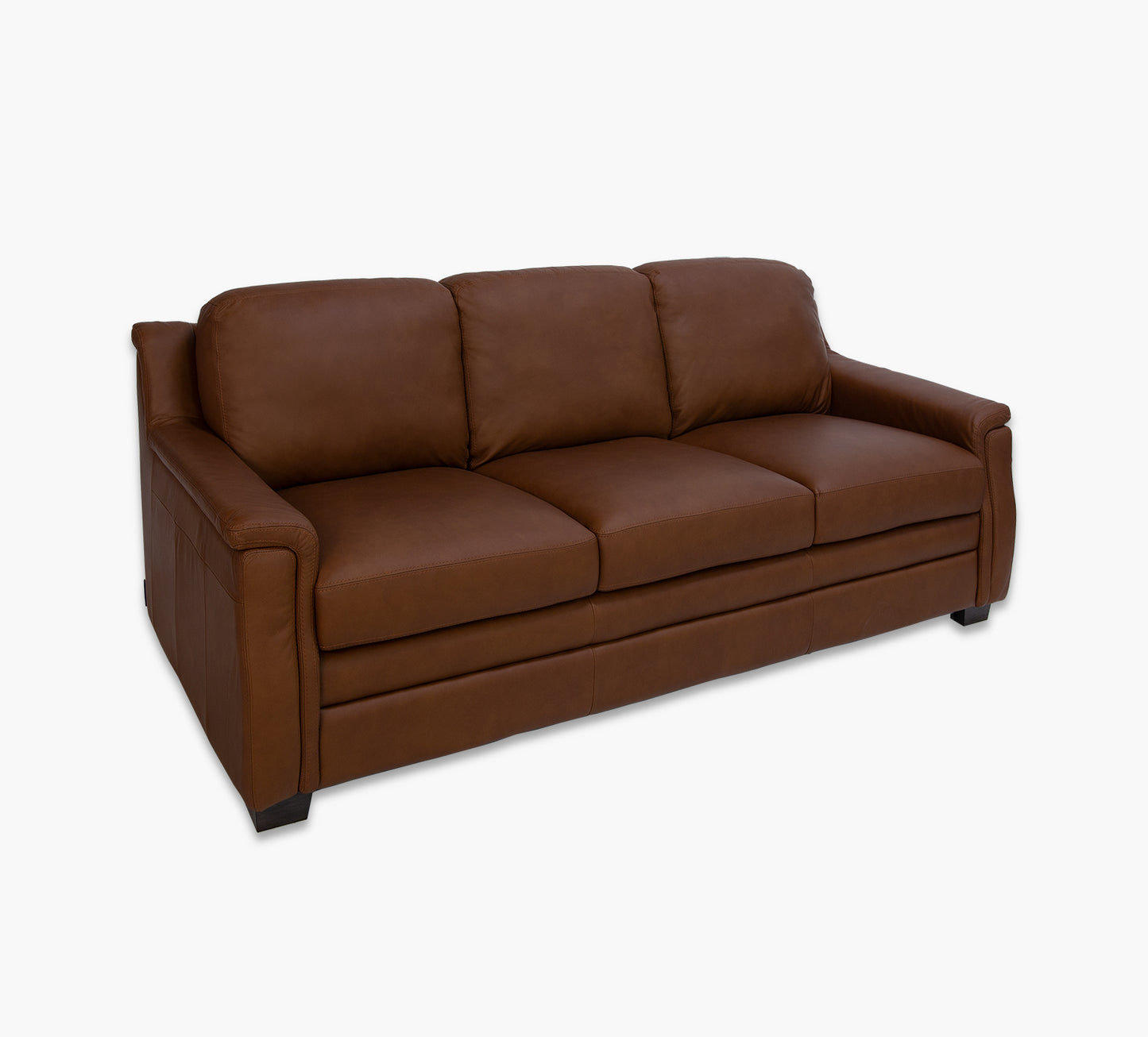 Wagner Leather Sofa