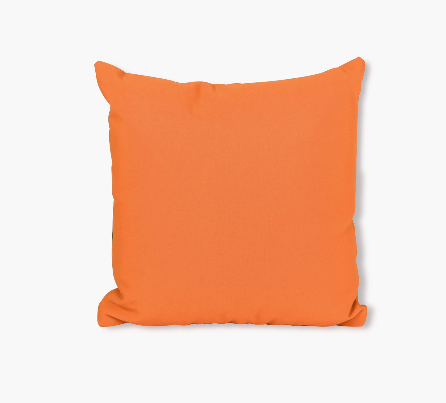 Coral Decorative Outdoor Throw Pillow