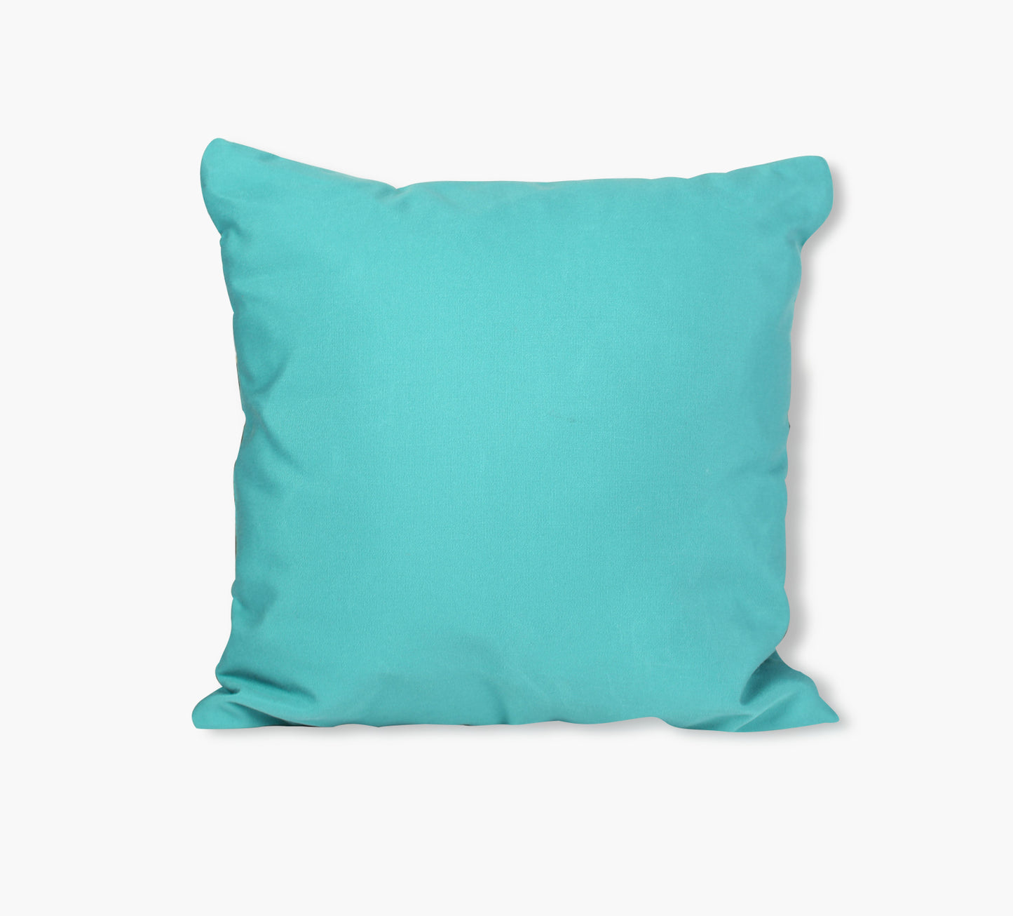 Aquamarine Decorative Outdoor Throw Pillow