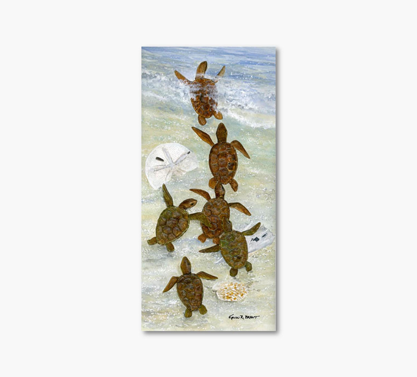 Sea Turtles Artwork 15 x 35