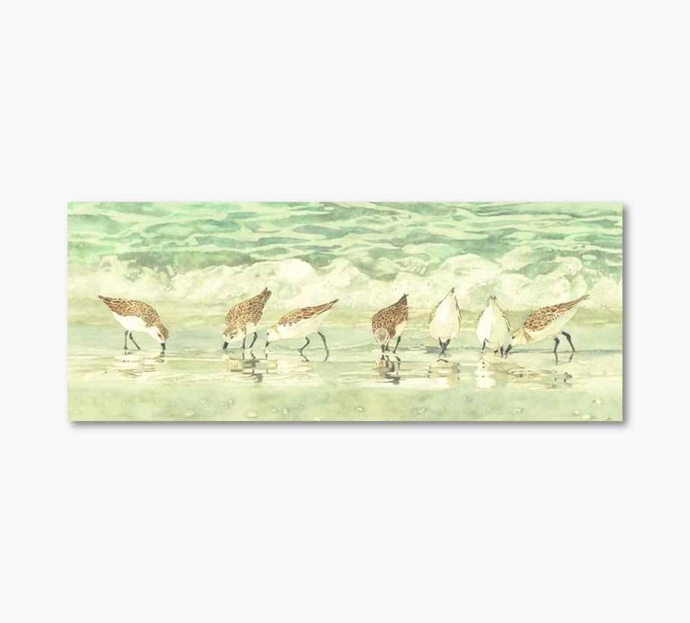 Sandpipers In Beach Artwork 20 x 56