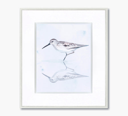 Reflexiones de Sandpiper 2 Obra de arte 26 x 30